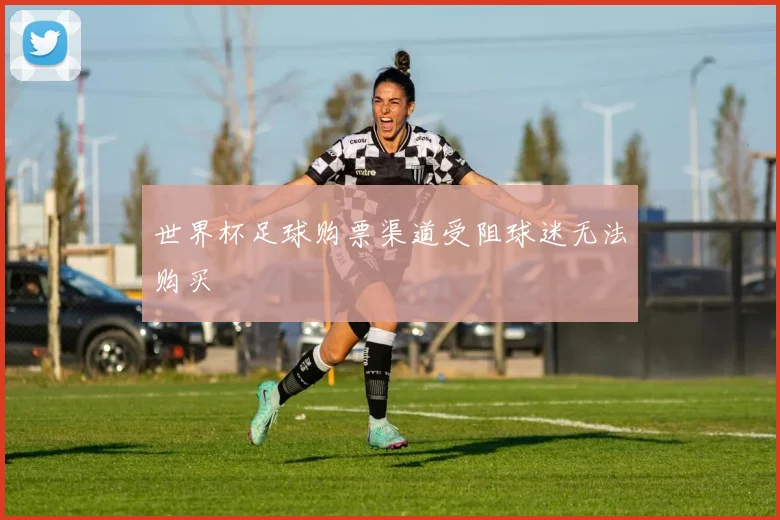 世界杯足球购票渠道受阻球迷无法购买
