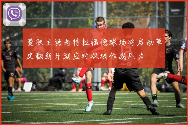 曼联主场老特拉福德球场将启动草皮翻新计划应对双线作战压力